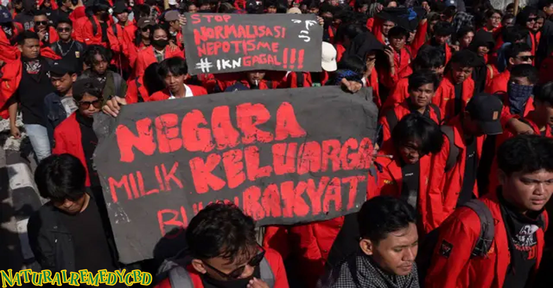 Demo Jakarta: Peran Komunitas dalam Pergerakan Sosial