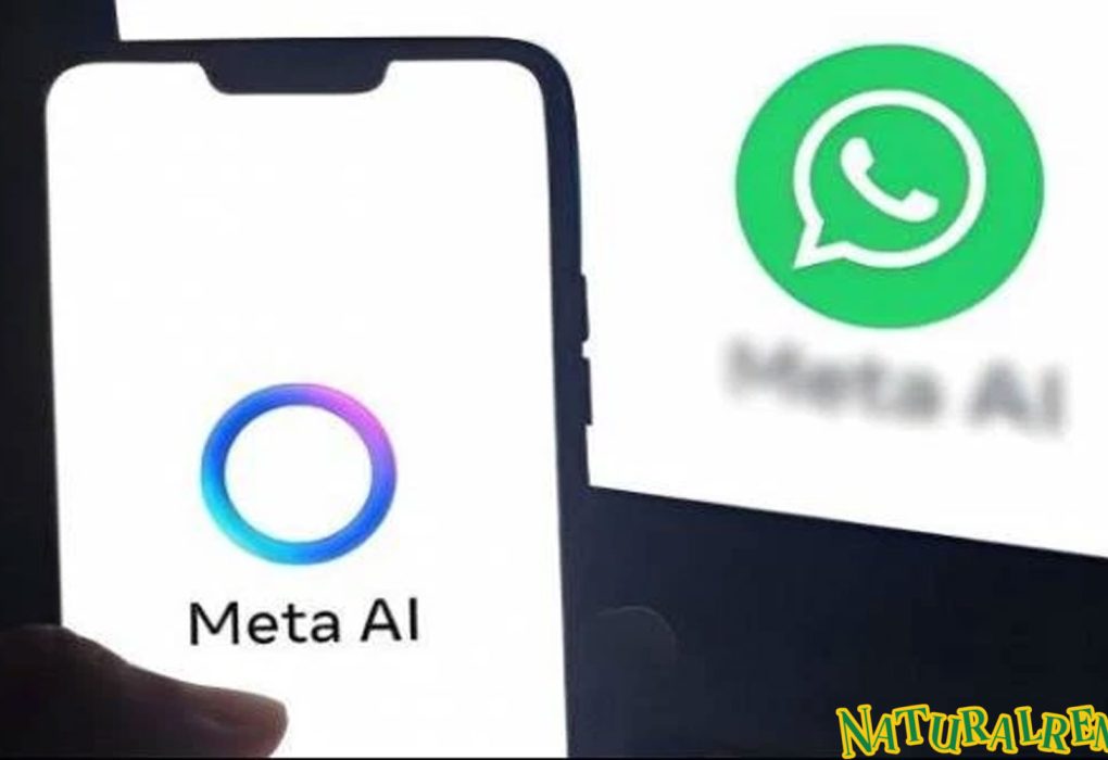 Meta AI WhatsApp: Solusi Inovatif Untuk Memperkuat Keamanan