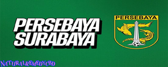 Persebaya Surabaya Salip Persib Bandung di Puncak Klasemen